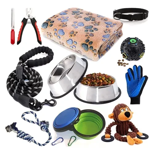 Dog Accessories